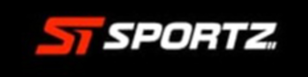 Gold Sponsor