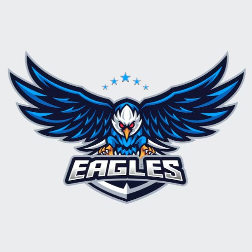 Team Eagles